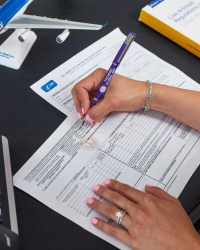 tgp_popup-paperwork_400-500_o